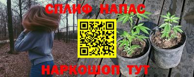 стаф Владикавказ