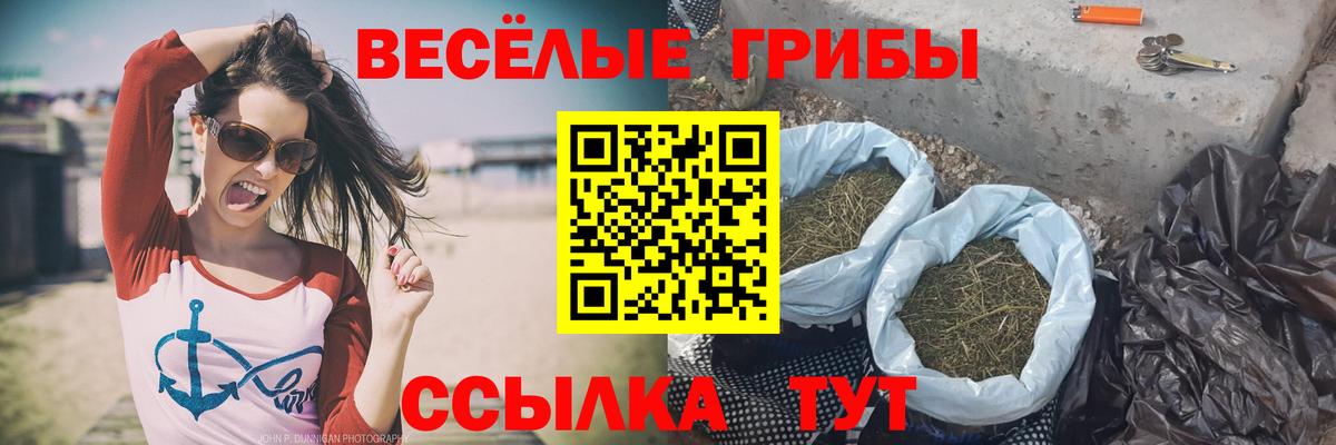 купить закладку  Галлюциногенные грибы MAGIC MUSHROOMS  Коряжма  Вход с VPN  Галлюциногенные грибы мицелий 
